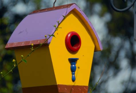 Bird House Close Up Of The Yellow Bird House Edward Wachtman Flickr