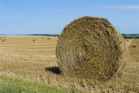 Hay Bale 6 Free Photo Download Freeimages
