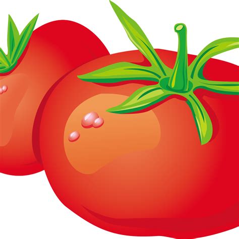 2 Tomatoes Cartoon Clipart Full Size Clipart 4225698 Pinclipart