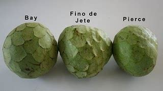 Cherimoya is best eaten raw and chilled. Cherimoya review: Bays, Pierce and Fino de Jete | Marin ...