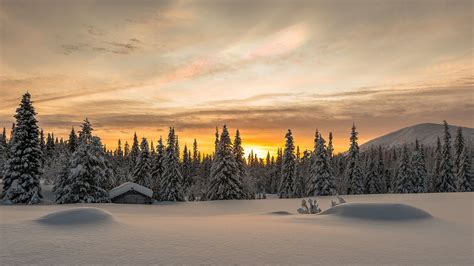 Sunrise In Lapland Lapland Winter Sunrise Sunrise