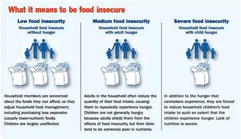 We Often Talk About Food Insecurity This Info Graphic Illustrates The