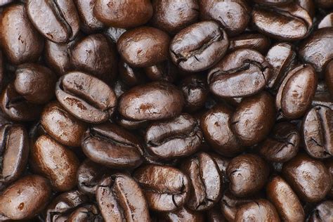 Medium Dark Roast Kona Coffee Beans Photograph By Philip Rosenberg