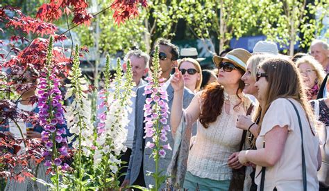 Rhs Chelsea Flower Show 2016 The Show Garden Highlights Not To Be