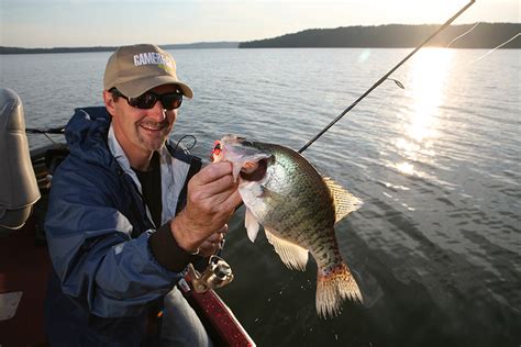 Exclusive Guide Catch More Crappie Than Ever This Year
