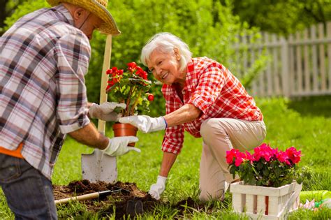 Top Tips For Gardeners Woodside Clinic In Leighton Buzzard