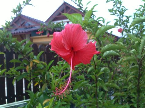 Bukan sahaja tempat menarik di shah alam, ada juga tempat makan dan lepak best. Hasbul; ..move forward..life is a short journey ...: Our ...
