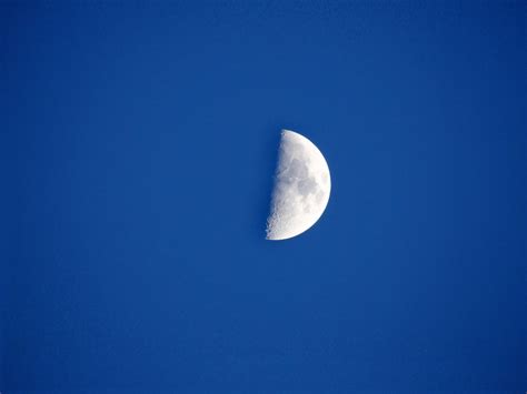 Half Moon Free Stock Photo Public Domain Pictures