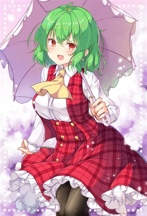 Kazami Yuuka Touhou Drawn By Aka Tawashi Danbooru