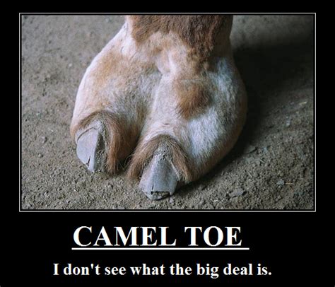 Demotivator Camel Toe By Silverkazeninja On Deviantart