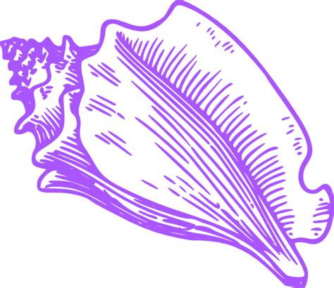 Conch Shell Clip Art At Vector Clip Art Online Royalty