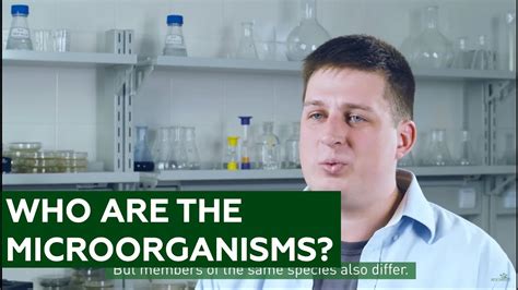 Who Are The Microorganisms And Where They Can Be Found Simply About