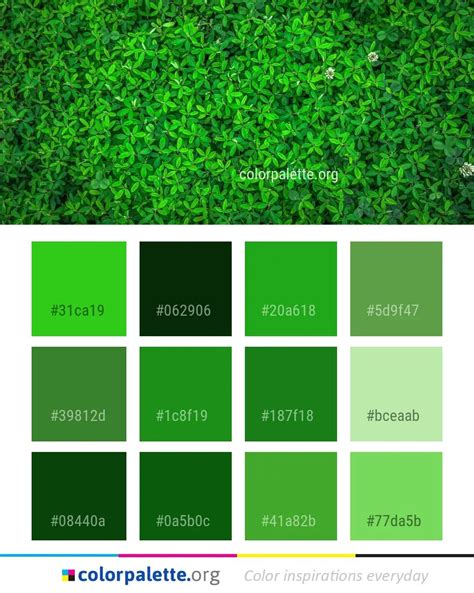 Green Grass Vegetation Color Palette