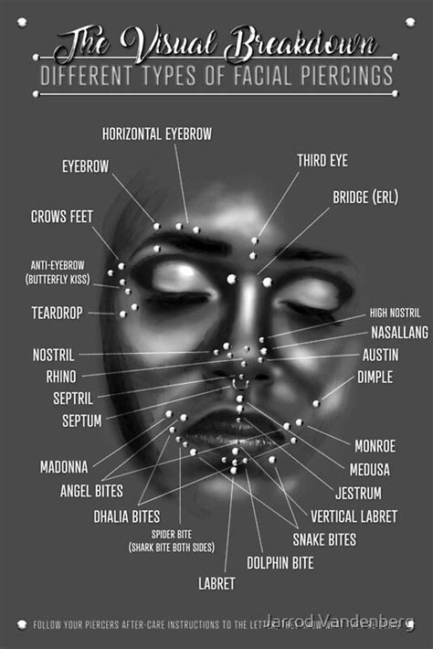 A Well Researched And Comprehensive Facial Piercing Chart Suitable For Professional Piercers Or