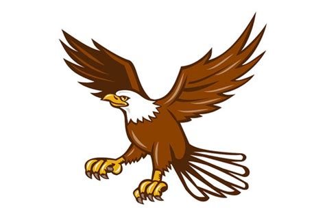 American Bald Eagle Swooping Cartoon Pre Designed Illustrator