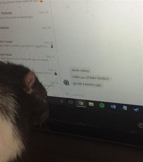 The cyber bullying needs to stop :( : r/RATS