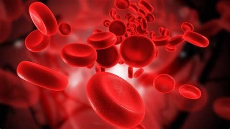 Low Hemoglobin Count Symptoms Causes Treatment And More New