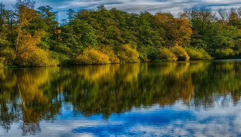 Picture Germany Ahausen Saxony Autumn Nature Forest Rivers