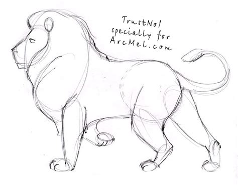 And just like drawing a beautiful lioness pencil and fascinating video. How to draw a lion step by step | ARCMEL.COM