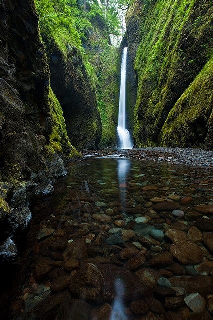 Oneonta Gorge Oregon Oregon Hikes Oregon Waterfalls Oregon Usa