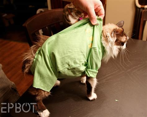 Buy thundershirt for cats, medium at amazon uk. EPBOT: Quick & Easy DIY Cat Onesie (For Over-Grooming Kitties)