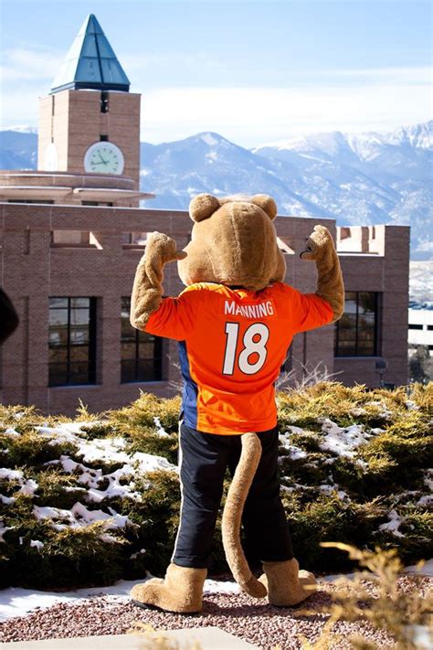 University Of Colorado Colorado Springs Mascot Poses In Manning Jersey