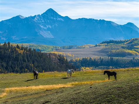 Wilson Peak Telluride Autumn Colors Fall Foliage Colorado Aspens Fuji