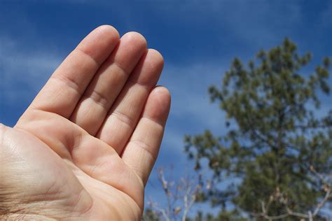 Free Images Hand Sky Finger Close Up Sense Human Action 4752x3168 355895 Free Stock