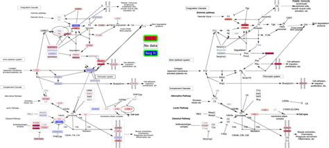 De Genes On “complement And Coagulation Cascades” Pathway Upon S