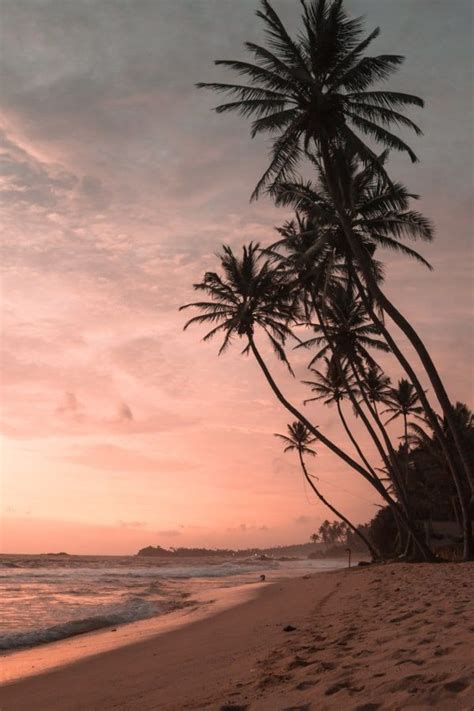 50+ Gorgeous Beach Wallpaper iPhone Aesthetics That Are Free! Image