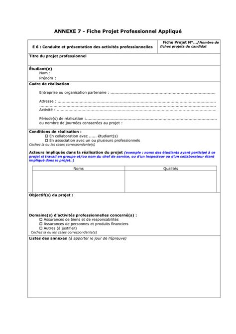 Exemple D Un Projet Professionnel Pdf  Le Meilleur Exemple