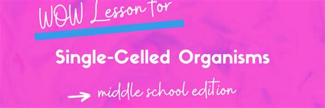5 Single Celled Organisms Wow Factor Teaching Ideas For Middle School
