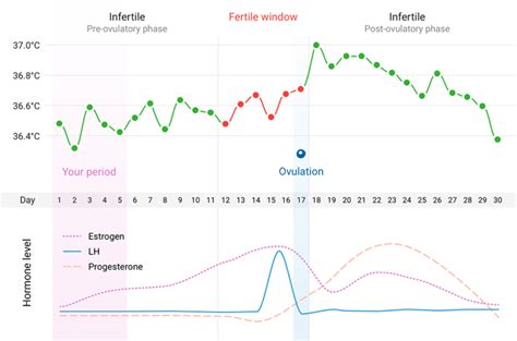Natural Contraception And Fertility Planning With Natural Cycles