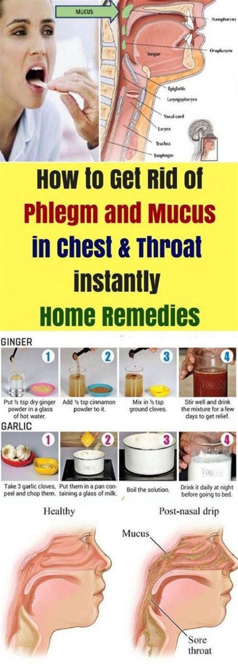 How To Get Rid Of Phlegm And Mucus In Chest And Throat Instantly Home