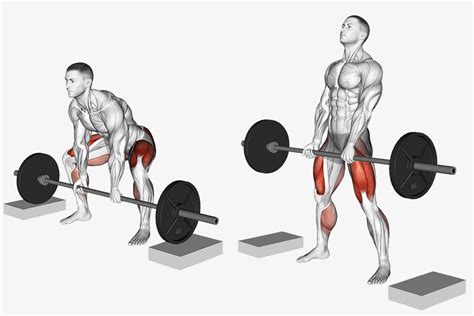 A Complete Rack Pull Guide Benefits Muscles Worked And Techniques Dmoose