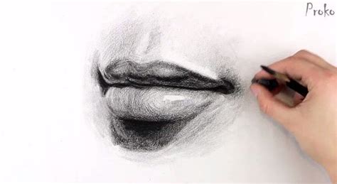 Thin, plump, wide, narrow and more. How To Draw Lips Step By Step · How To Make A Drawing ...