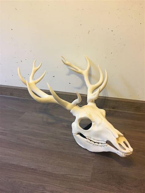 Movable Deer Skull Mask With Antlers Creepy Mask Macabre Etsy
