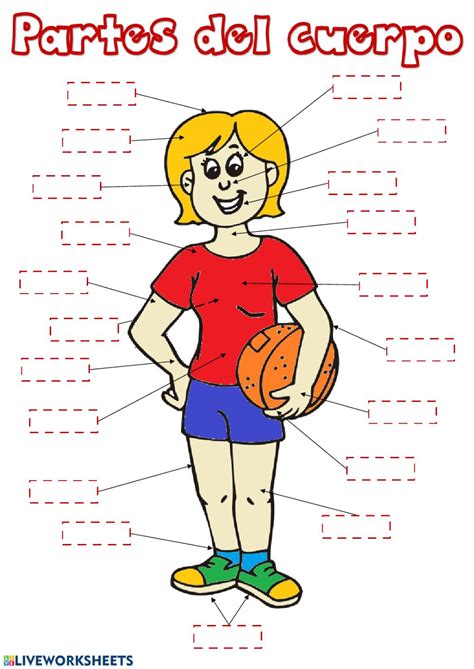 Partes Del Cuerpo Interactive Worksheet