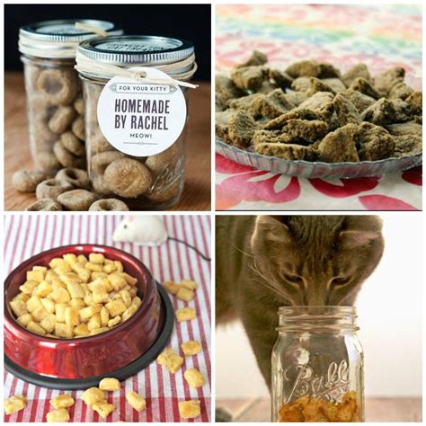 15 Purrfect Homemade Cat Treats To Spoil Your Kitty Cat Treats