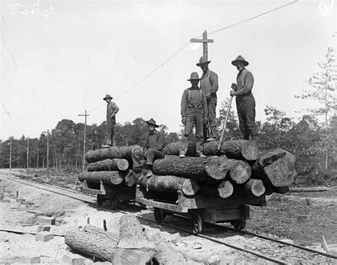 Michigan History Logging The Pines 1800s
