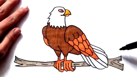 Top Imagen Una Aguila Para Dibujar Abzlocal Mx