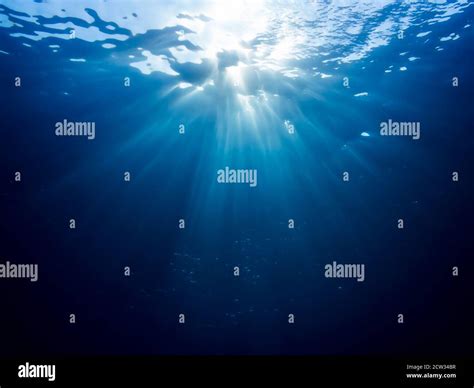 Underwater Scene With Rays Of Light Stock Photo Alamy