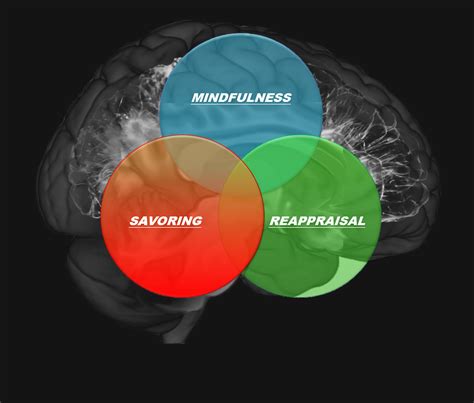 Mindfulness Oriented Recovery Enhancement More College Of Social