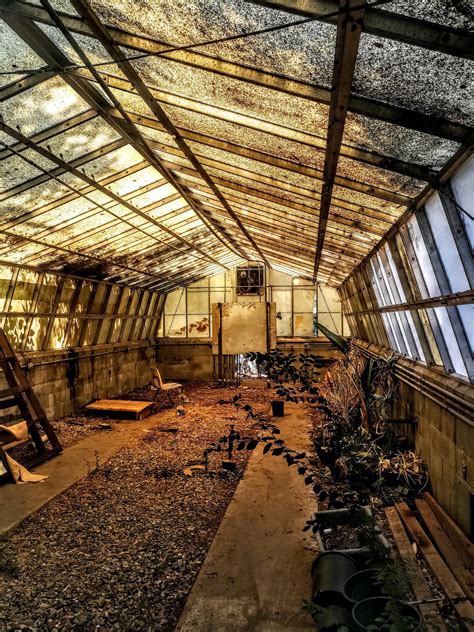 Abandoned Greenhouse In Los Angeles 2976x3968 Oc Abandoned Places
