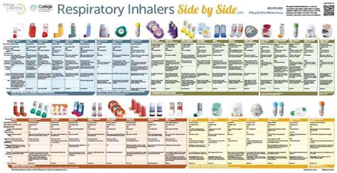 Respiratory Inhalers At A Glance And Other Posters In Our Online Store