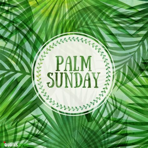 Latest Palm Sunday 2022 Images Photos Posters Wallpaper Pictures
