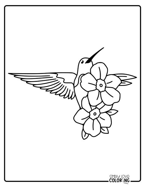 Free Hummingbird Coloring Pages Simply Love Coloring