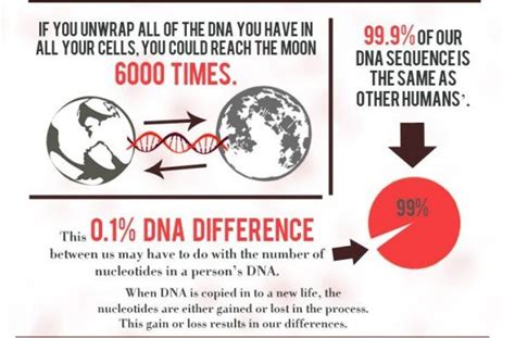 17 Amazing Facts About Your Dna