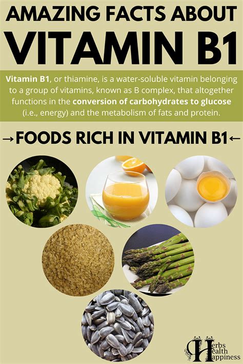 Top 20 Foods Rich In Vitamin B1 Herbs Health And Happiness