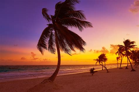 Stunning Sunsets In Mexico Gogo Vacations Blog